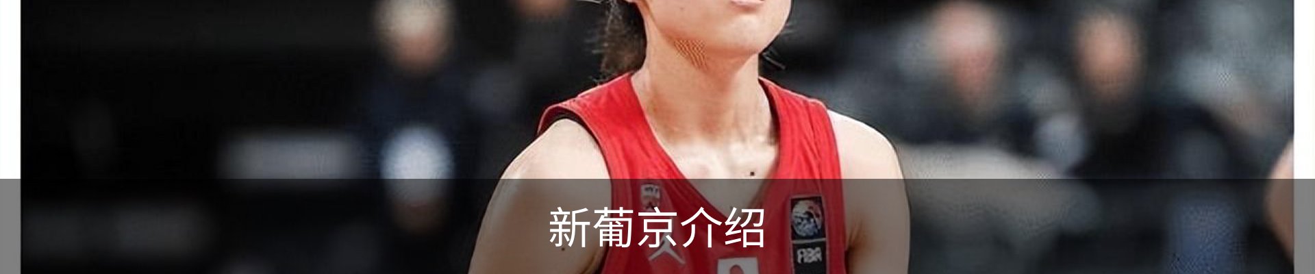 新葡京介绍